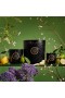 Voluspa – klasická svíčka Jardin De Verveine