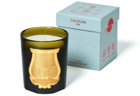 Trudon – svíčka Dada (čaj a vetiver).