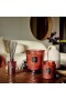 Voluspa – Forbidden Fig Luxe Diffuser