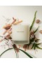 Maison Louis Marie – No. 04 Bois De Balincourt Candle