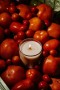 Votivo – Fresh Tomato Leaf Signature 10oz stearinlys