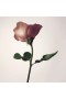 Nest – Voyages Rose Sublime 2-lonts kaars