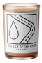 DS & Durga – Big Sur After Rain Candle