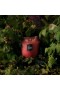 Voluspa – Foraged Wildberry 5-pits haardkaars