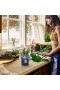 Voluspa – Grote potkaars met mediterrane citroen