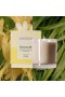 Votivo – Kamperfoelie Signature 10oz kaars