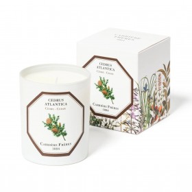 Carriere Freres – Ceder (Cedrus Atlantica) Kaars