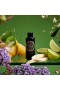 Voluspa – Jardin De Verveine Ultrasonic Diffuser Oil