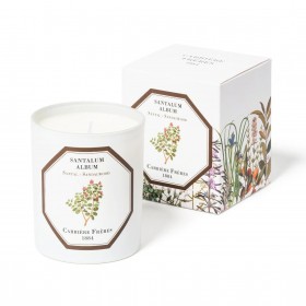 Carrière Frères – Bougie au bois de santal (Santalum Album)