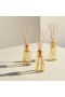 Glasshouse – Velvet Rhapsody Diffusor