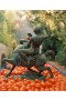 Flamingo Estate – Roma Heirloom Tomato XL Kerze