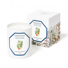 Carriere Freres – Orangenblütenkerze (Citrus Dulcis)
