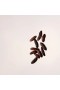Nest – Voyages Tempting Tonka Diffuser