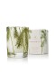 Thymes – Frasier Fir Pine Needle Votive Candle
